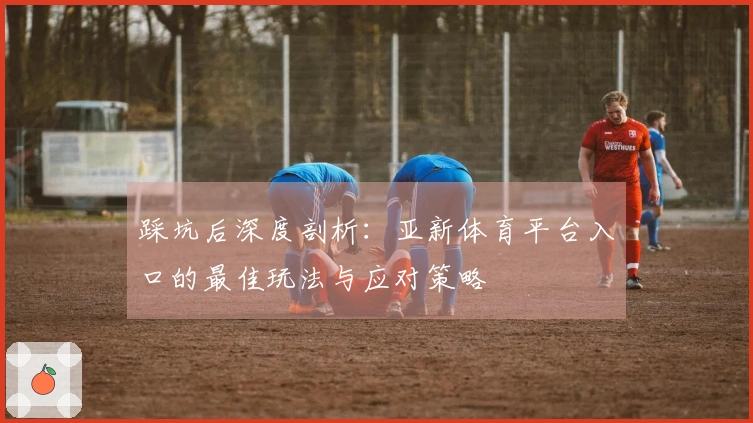 踩坑后深度剖析：亚新体育平台入口的最佳玩法与应对策略