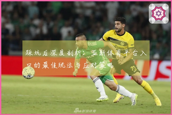 踩坑后深度剖析：亚新体育平台入口的最佳玩法与应对策略