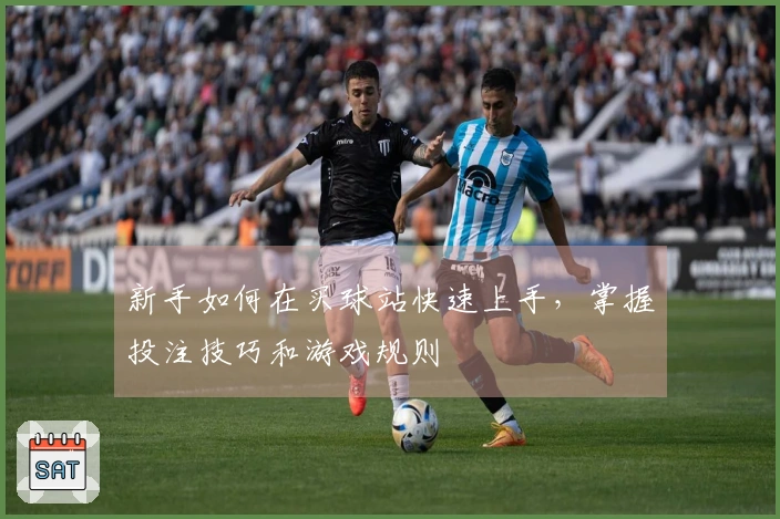 新手如何在买球站快速上手，掌握投注技巧和游戏规则